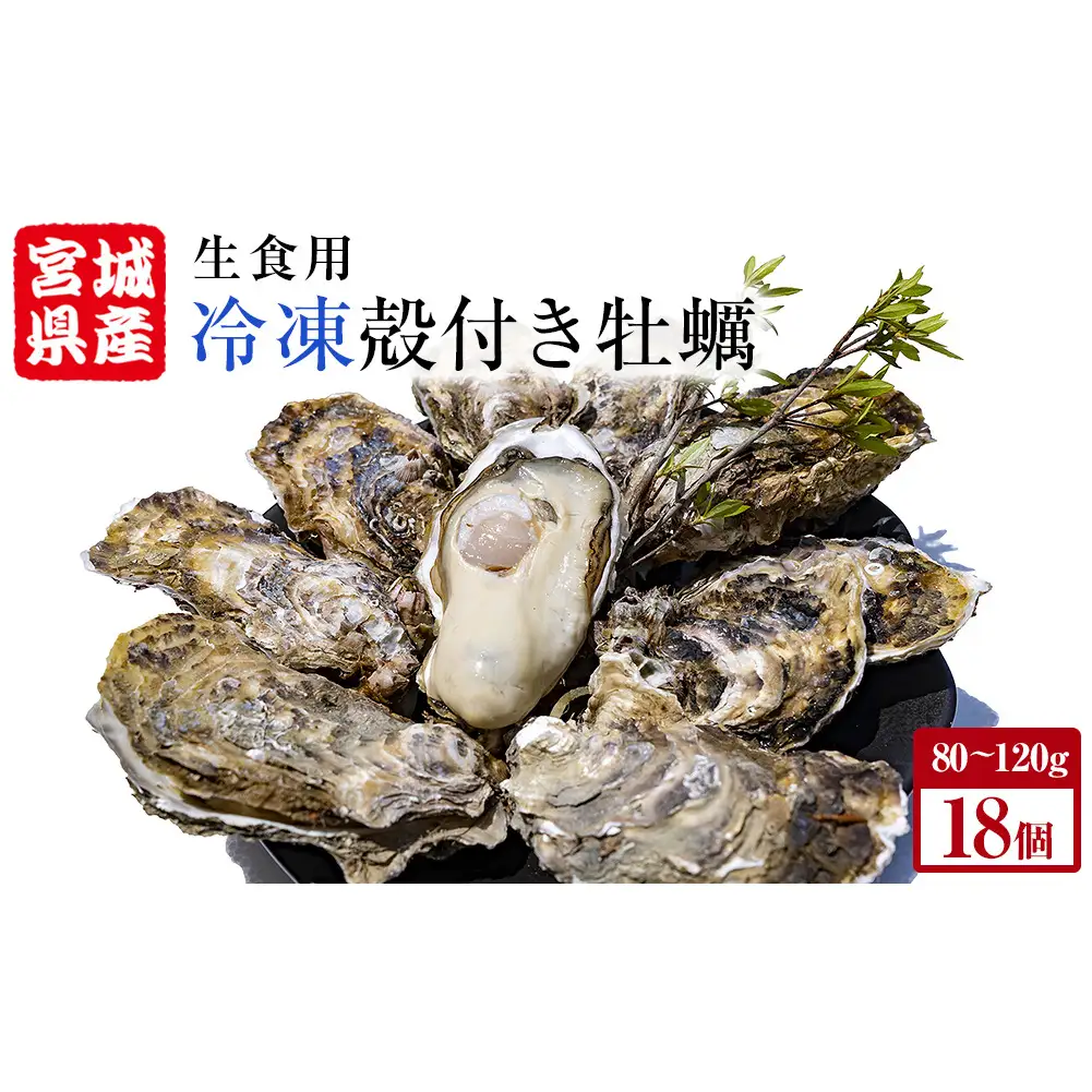 宮城県産 牡蠣 殻付き 生食用 18個（6個入×3袋） 冷凍 カキ