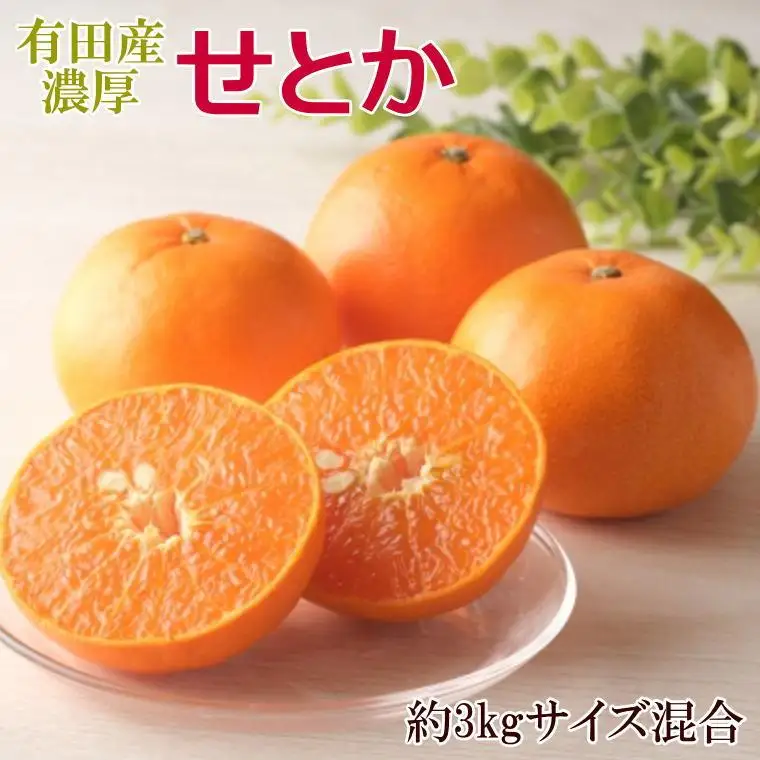 一度は食べていただきたい「有田産のせとか」約3kg（サイズ混合）★2027年2月中旬頃より順次発送