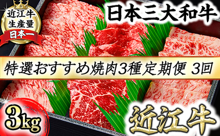 【定期便】A5等級 特選 近江牛 おすすめ 部位 焼肉 3種（1kg×3回）【FO21W】【 近江牛 】 牛肉