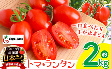 ミニトマト生産量 日本一 玉名市 !！ 「 トマ・ランタン 」 約 2kg | ミニトマト トマト 熊本県 玉名市