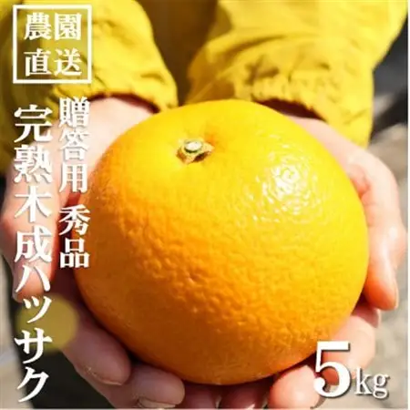 和歌山産　完熟木なりハッサクみかん　贈答用　秀品　約5kg箱入り　M～2Lサイズ【1482412】