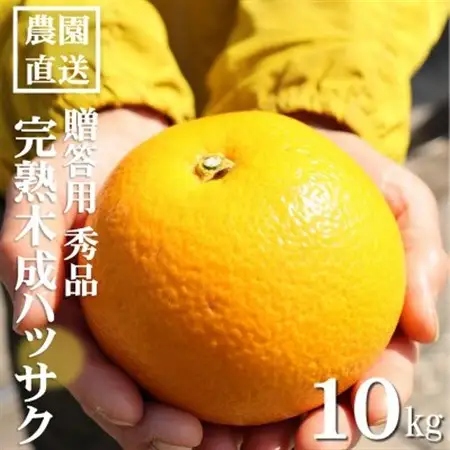 和歌山産　完熟木なりハッサクみかん　贈答用　秀品　約10kg箱入り　M～2Lサイズ【1482413】