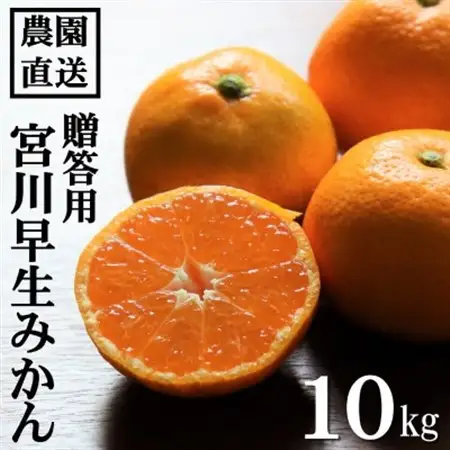 【先行受付】和歌山産　宮川早生　みかん　贈答用　秀品　約10kg箱入り　2S～2Lサイズ【1482418】