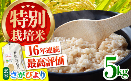 令和7年産 特別栽培米「さがびより」玄米 5kg  [HAG027]特A米 特A評価
