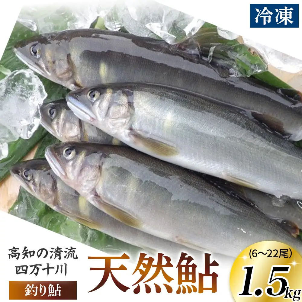 四万十川上流の天然鮎 釣り鮎 1.5kg【冷凍6～22尾】【着日指定不可】Esj-43k あゆ アユ 魚 魚介 川魚 塩焼き 天然　個包装 小分け