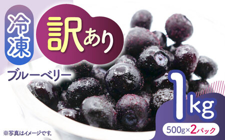 【先行予約】【訳あり】 冷凍ブルーベリー 小粒 約1kg（約500g×2pc） 【すみれファーム】[ZEP045]