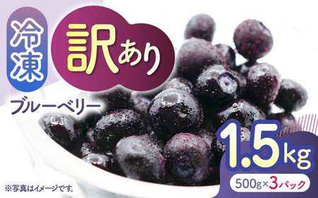 【先行予約】【訳あり】 冷凍ブルーベリー 小粒 約1.5kg（約500g×3pc） 【すみれファーム】[ZEP046]