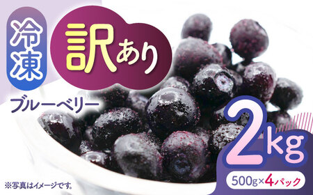 【先行予約】【訳あり】 冷凍ブルーベリー 小粒 約2kg（約500g×4pc） 【すみれファーム】[ZEP047]