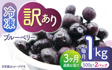 先行予約 【3回定期便】【訳あり】 冷凍ブルーベリー 小粒 約1kg（約500g×2pc） 【すみれファーム】[ZEP048]