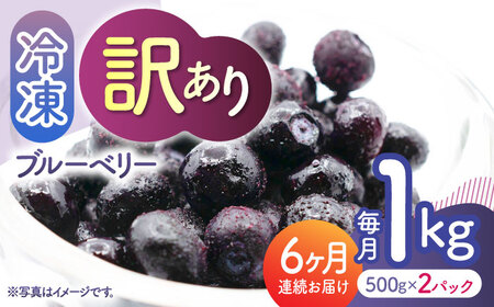 先行予約 【6回定期便】【訳あり】 冷凍ブルーベリー 小粒 約1kg（約500g×2pc） 【すみれファーム】[ZEP051]