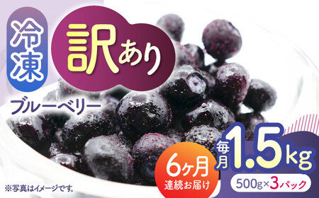 先行予約 【6回定期便】【訳あり】 冷凍ブルーベリー 小粒 約1.5kg（約500g×3pc） 【すみれファーム】[ZEP052]