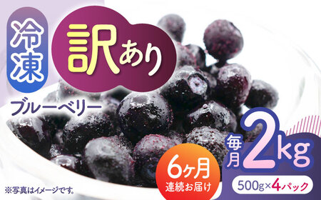先行予約 【6回定期便】【訳あり】 冷凍ブルーベリー 小粒 約2kg（約500g×4pc） 【すみれファーム】[ZEP053]
