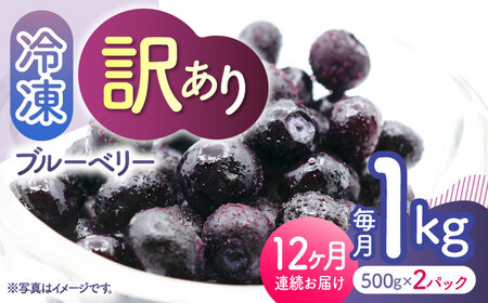 先行予約 【12回定期便】【訳あり】 冷凍ブルーベリー 小粒 約1kg（約500g×2pc） 【すみれファーム】[ZEP054]