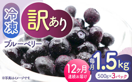 先行予約 【12回定期便】【訳あり】 冷凍ブルーベリー 小粒 約1.5kg（約500g×3pc） 【すみれファーム】[ZEP055]