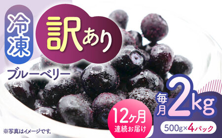 先行予約 【12回定期便】【訳あり】 冷凍ブルーベリー 小粒 約2kg（約500g×4pc） 【すみれファーム】[ZEP056]