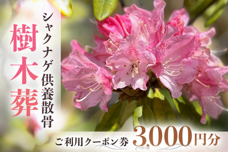 自然供養のカンシャ 樹木葬　シャクナゲ供養散骨　ご利用クーポン券 3000円分 JC-002