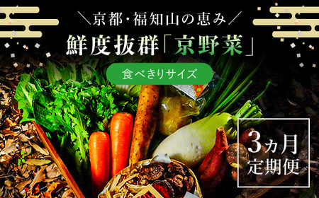 ＜3ヵ月定期便＞鮮度抜群「京野菜」 食べきりサイズ6～7品詰合せ(毎月×3回) ふるさと納税 福知山市 京野菜 野菜 新鮮 食べきり 詰合せ 定期便 3か月 【fc-CM003】【ふくこめoffice】