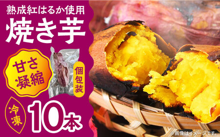 【数量限定】【ねっとり甘い熟成サツマイモ】冷凍焼き芋（紅はるか） 10本(S〜M) / さつまいも やき芋 冷凍 小分け 個包装 冷やし焼き芋 / 南島原市 / 池田海陸物産 [SEW002]