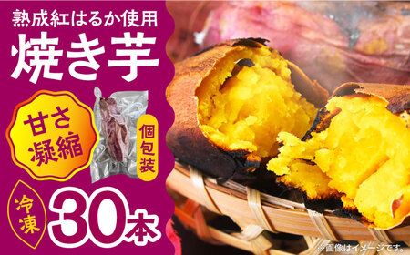 【数量限定】【ねっとり甘い熟成サツマイモ】冷凍焼き芋（紅はるか） 30本(S〜M) / さつまいも やき芋 冷凍 小分け 個包装 冷やし焼き芋 / 南島原市 / 池田海陸物産 [SEW003]
