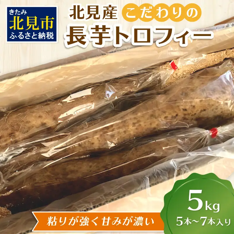 【予約：2026年11月下旬から順次発送】北見産 こだわりの長芋トロフィー 5kg箱 ( 長いも ながいも 野菜 数量限定 期間限定 5キロ )【169-0001-2026】
