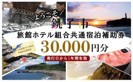 宿泊 銚子市 旅館ﾎﾃﾙ組合共通 宿泊 補助券 30,000円分