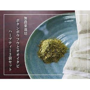 【180杯分！】無農薬ボタンボウフウと大崖石榴茶 （長命草とオオイタビハーブティー） 3袋セット