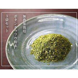 【無農薬栽培】ボタンボウフウ（長命草）粉末 3袋セット