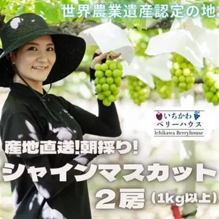 【2026年配送】農園直送!厳選!山梨産シャインマスカット2房(1kg以上)【配送不可地域：離島・沖縄県】【1481228】
