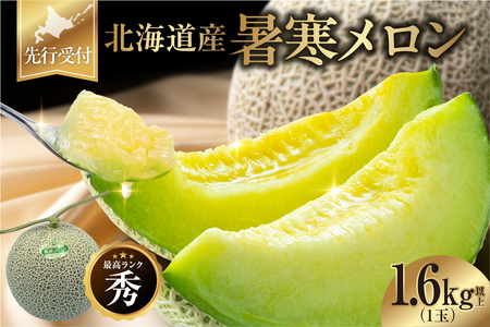 【先行予約】暑寒メロン メロン 1玉 26年7月中旬～