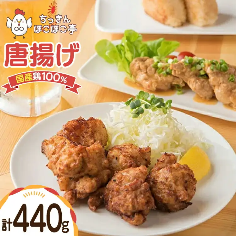 【国産鶏100％使用】 唐揚げ 冷凍 鶏もも 440g [ちっきんほこほこ亭 山形県 高畠町 tk06ayt310002]