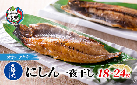 にしん一夜干し1.8kg（18～24枚）［300g（3～4枚入）×6P］【 魚貝類 干物 漬魚 味噌漬け 加工食品 北海道 オホーツク 枝幸 】