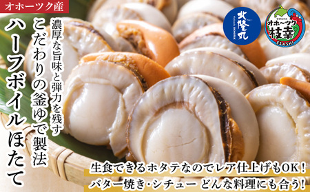 冷凍ハーフボイルほたて500g（15～17粒）オホーツク産［北隆丸］【 ほたて 帆立 ホタテ 魚貝類 魚介類 海鮮 大粒 ボイル 生 冷凍 加工食品 北海道 オホーツク 枝幸 】