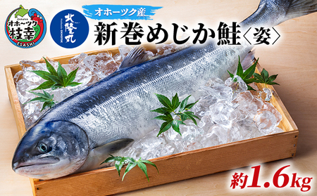 北隆丸 新巻めじか鮭〈姿〉約1.6kg【 枝幸産 魚貝類 サーモン 鮭 北海道 オホーツク 枝幸 】