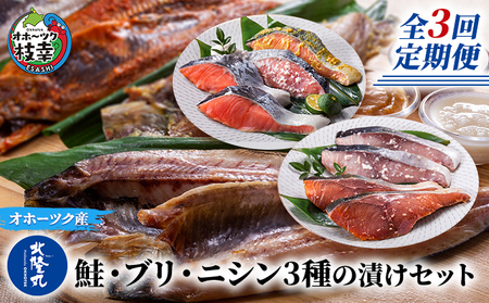 北隆丸 鮭・ブリ・ニシン3種の漬けセット【全3回定期便】【 干物 魚貝類 漬魚 味噌漬け 魚貝類 加工食品 北海道 オホーツク 枝幸 】