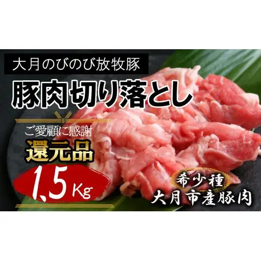自然の中で飼育された 大月のびのび放牧豚の切り落とし肉  1.5㎏以上 （300g×5パック）【1087-015】