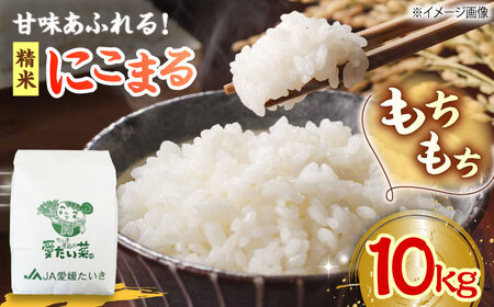 【11月中旬から順次発送】お米 10kg（にこまる）お米[AGAP006]
