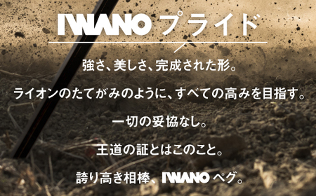 IWANOペグ8本セット《抜かない限り抜けません》テントを張るならIWANOペグ