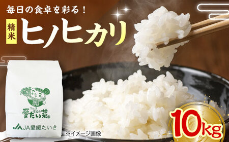 【11月上旬から順次発送】白米 10kg（ヒノヒカリ）白米[AGAP009]