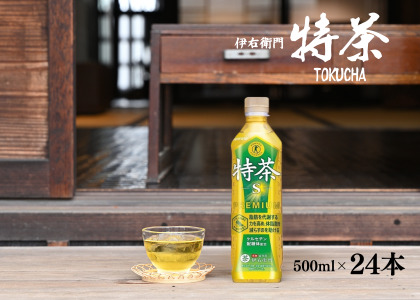 [トクホ]サントリー 伊右衛門 特茶 お茶 500ml×24本　2箱 サントリー 伊右衛門 特茶 500mlペットボトル×24本【お茶 トクホ 特定
