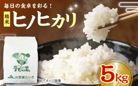 【11月上旬から順次発送】白米 5kg（ヒノヒカリ）白米[AGAP008]