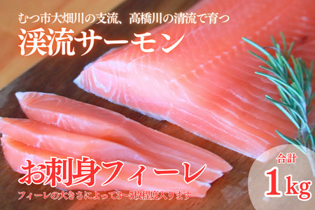 渓流サーモン　お刺身フィーレ　1kg
