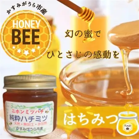 かすみがうら市産『日本みつばち』の純粋はちみつ 150g_調味料 はちみつ  ハチミツ 蜂蜜_【1481277】