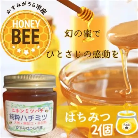 かすみがうら市産『日本みつばち』の純粋はちみつ 150g×2個_調味料 はちみつ  ハチミツ 蜂蜜_【1481289】