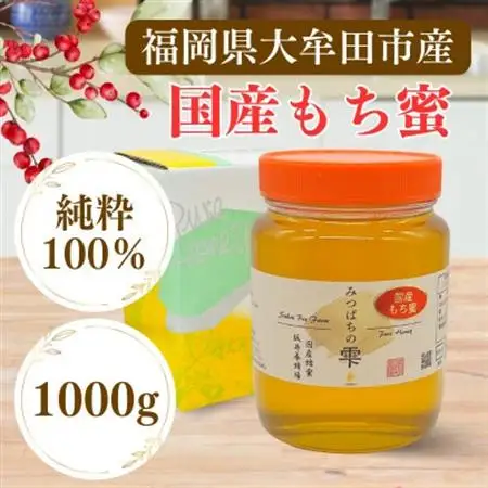 みつばちの雫　国産もち蜂蜜　1000g_調味料 はちみつ  ハチミツ 蜂蜜_【1481085】