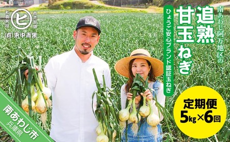 【6ヶ月定期便】「追熟甘玉ねぎ」５kg