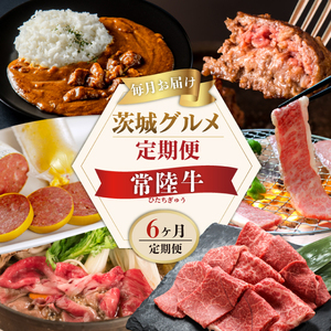 6ヶ月 定期便 肉 常陸牛 Aコース ハンバーグ 焼肉 すき焼き レトルトカレー 肉のイイジマ（DU-107）
