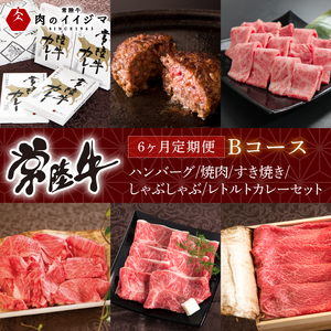 6ヶ月 定期便 常陸牛 Bコース 肉のイイジマ（DU-108）