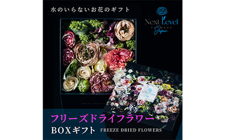 フリーズドライフラワー BOXギフト「日本HANA」 F2Y-3785