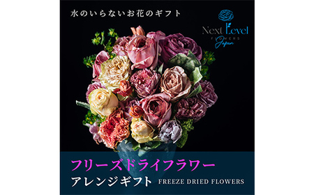 フリーズドライフラワー アレンジギフト 水のいらない花「ゼロ・モダンフラワー」 F2Y-3786