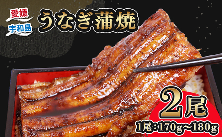 【 うなぎの蒲焼き 】 うなぎの蒲焼き 170g～180g×2 河野鮮魚店 D025-177003
